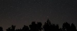 Превью обои звездное небо, звезды, ночь, деревья, темный