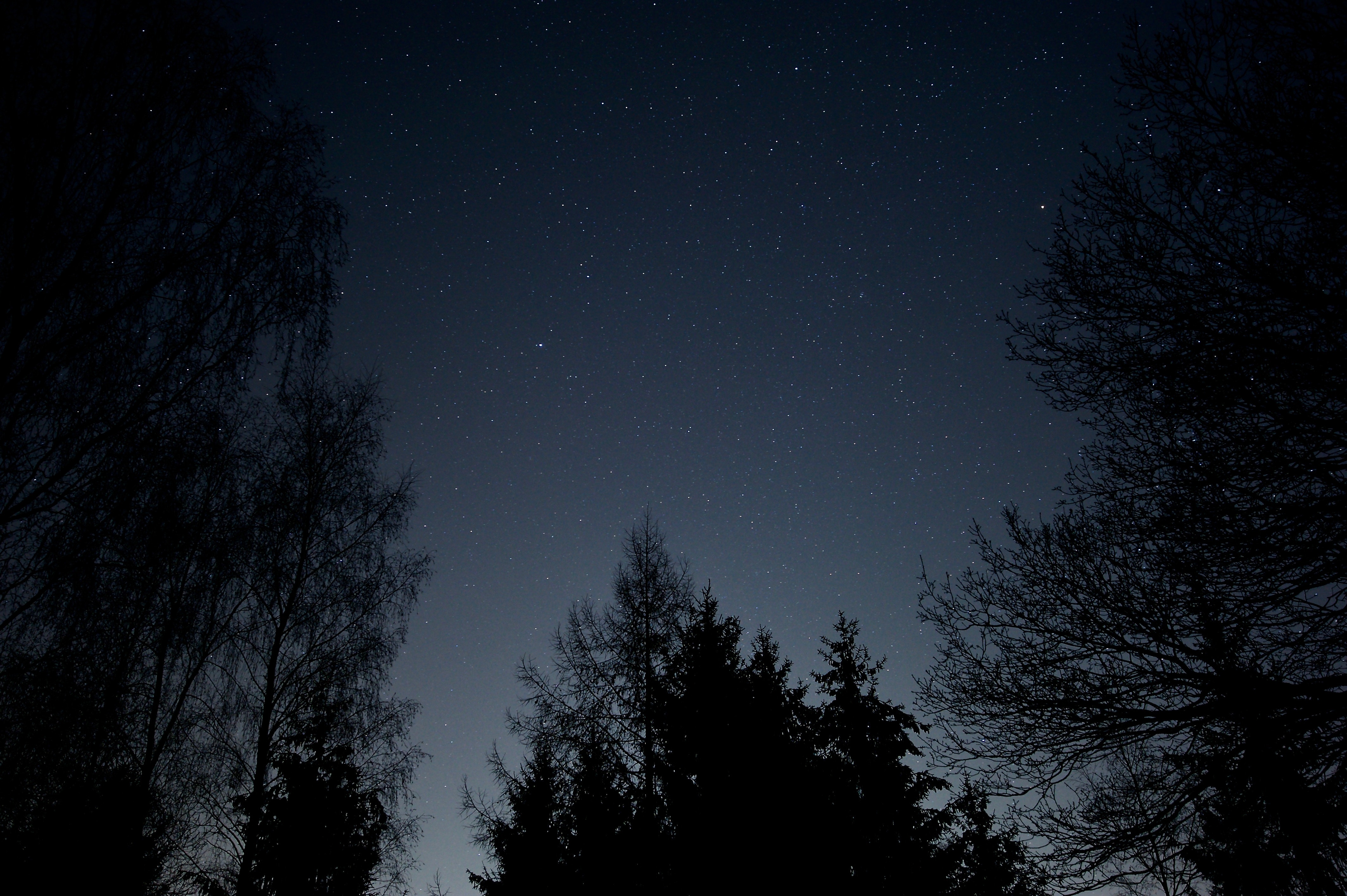 Black sky. Темное ночное небо. Звездное небо ночью. Ночь лес звезды. Черное небо со звездами.