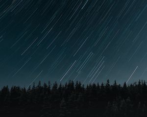 Превью обои звезды, длинная выдержка, движение, лес, ночь