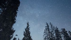 Превью обои звезды, небо, лес, деревья, ночь, природа