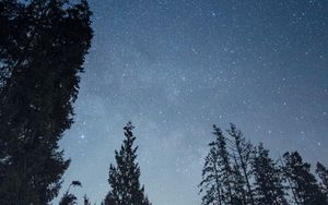 Превью обои звезды, небо, лес, деревья, ночь, природа
