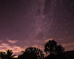 Превью обои звезды, небо, ночь, деревья, силуэты